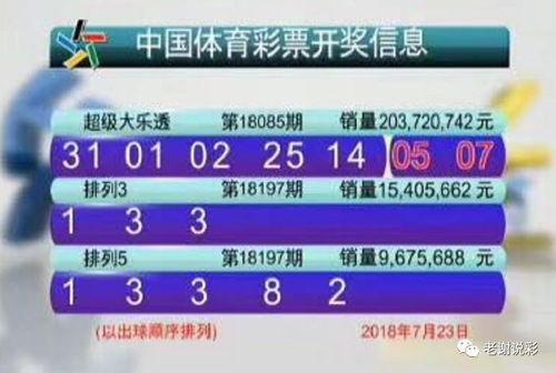 大乐透开奖号历史数据,探寻中奖密码
