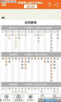 幸运农场福彩规律,揭秘中奖秘诀