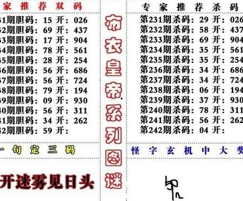 3d字谜17500专3d字,揭秘“3D”背后的数字奥秘